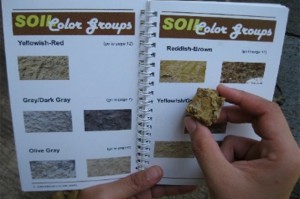 Soil Series - PhilRice