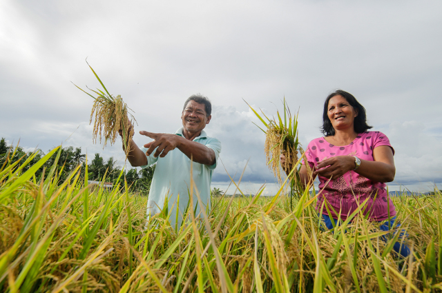 Egdar Belago (L) of Anilao, Iloilo enjoying the bountiful harvest  together with his wife. 