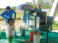 Seed Cleaner