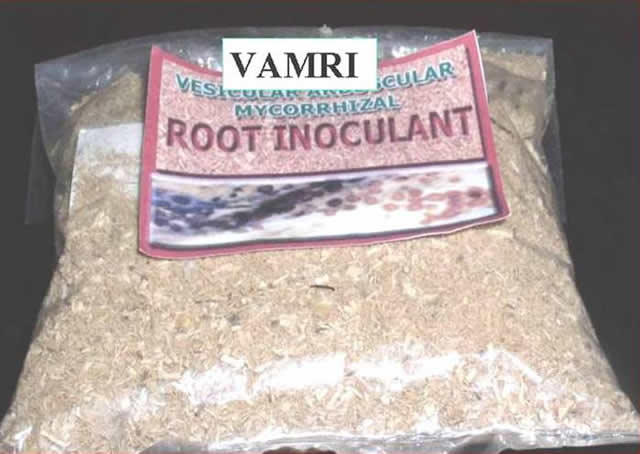 vamri root inoculant