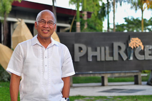 Shift focus from plant to farmer – PhilRice exec | PRRI