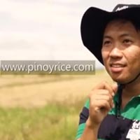 pinoy rice web promotion