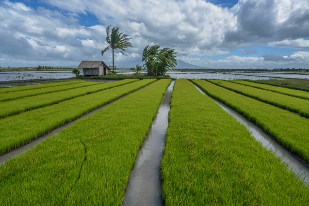 biocontrol agents for farmers biocontrol agents for farmers
