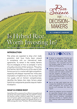 is hybrid rice worth investing in?