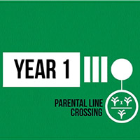 year 1 parental line crossing