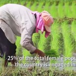 the female face of farming