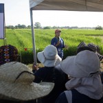 farmers with philrice officials