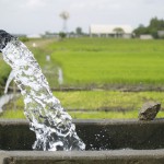 Irrigation